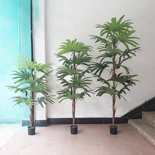 供应仿真盆栽绿植小葵树过胶叶五指葵家居办公室摆放棕竹葵