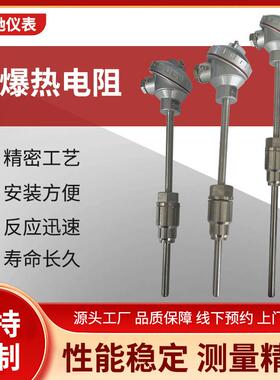 供应防爆热电阻WZP-240防爆热电阻CT6BT4隔爆热电阻