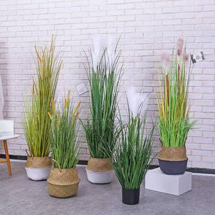 仿真狗尾巴芦苇绿植橱窗装饰植物家居室内植物装饰品仿真落地植被