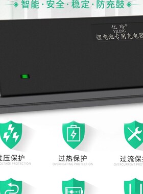 雅迪电动车锂电池充电器48V2A锂离子48伏20AH智能54.6V快充3A通用