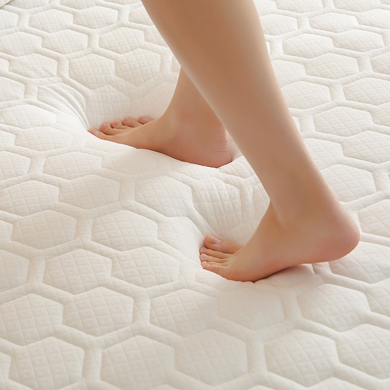 乳胶床垫软垫家用卧室榻榻米垫子180x200床褥垫褥子记忆棉海绵垫