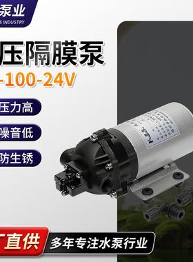 厂家规格齐全DP-100微型隔膜泵电动隔膜泵微型自动隔膜泵