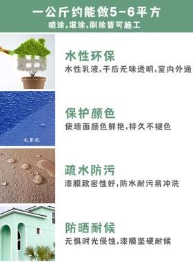 工匠大涂水性罩光漆防水防料亮光绘画面漆硅丙内外墙高光师尘墙漆