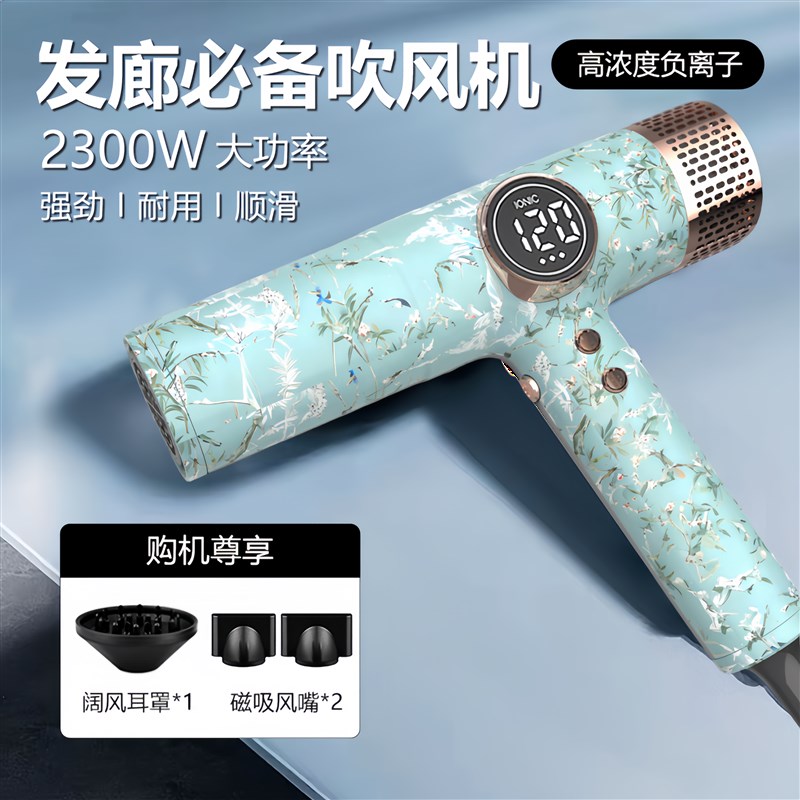 Easybaeeasybae大功率吹风机发型师理发店发廊T美发店专用电吹风