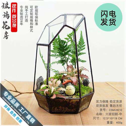创意桌面苔藓造景雨林微景观容器皿生态瓶玻璃花房花盆六面切割中