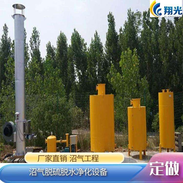 沼气净化脱硫使用基本要求 配套设备脱硫剂脱水器 位置排放原理