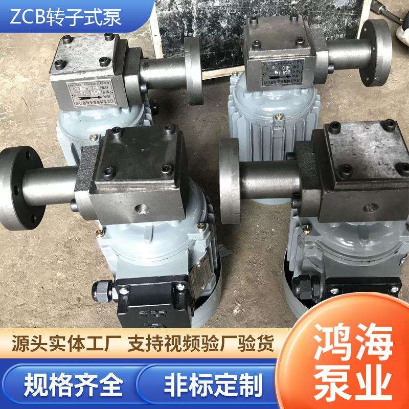 ZCB转子泵转子式油泵小型抽油泵摆线针轮减速机油泵高粘度润滑泵