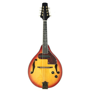 电声曼陀林 曼陀铃 藏族西洋乐器 电八弦琴带拾音器配件