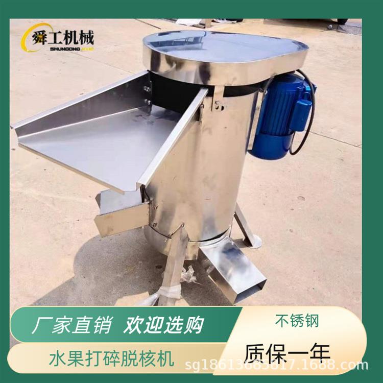 水果粉碎去核机 工业大产量核肉分离机 桃子杏子龙眼商用脱核机