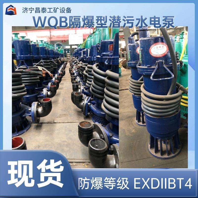 5.5kw防爆潜水排污泵型号齐全WQB12-50-5.5kw防爆潜水排污泵现货