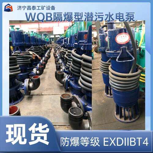 5.5kw防爆潜水排污泵型号齐全WQB12-50-5.5kw防爆潜水排污泵现货