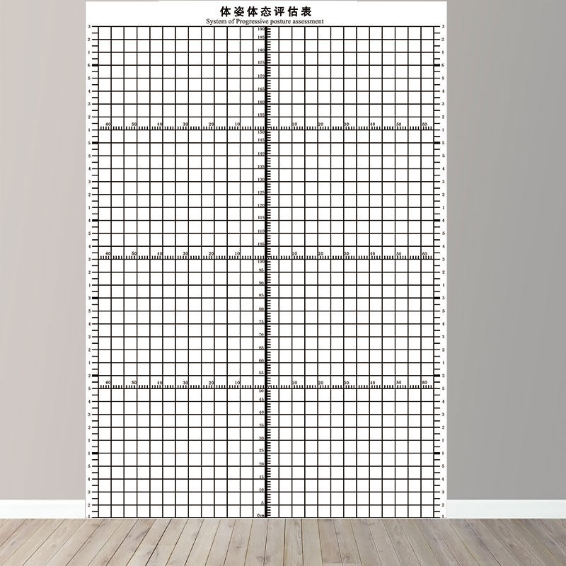 体态评估图壁画健身房体测表身体形体测评脊椎修复墙装饰瑜伽私教