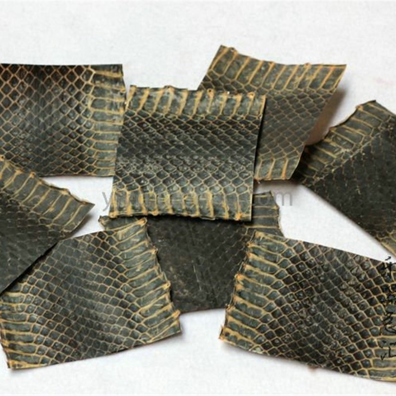 5斤以上乌蛇皮i尾部上佳位置 单块京胡皮乌皮黑皮京胡蒙皮乌稍蛇