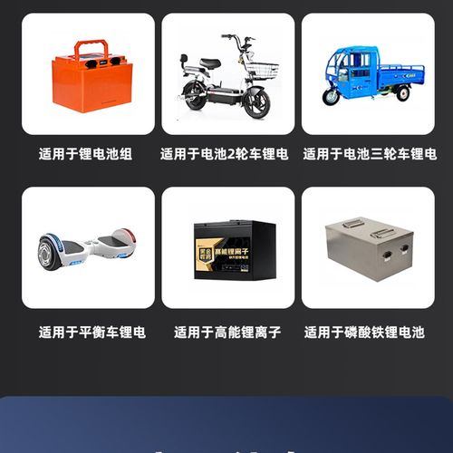 房车叉车洗地机锂电池充电器12V24V伏14.6V29.2V15A18A磷酸铁锂用