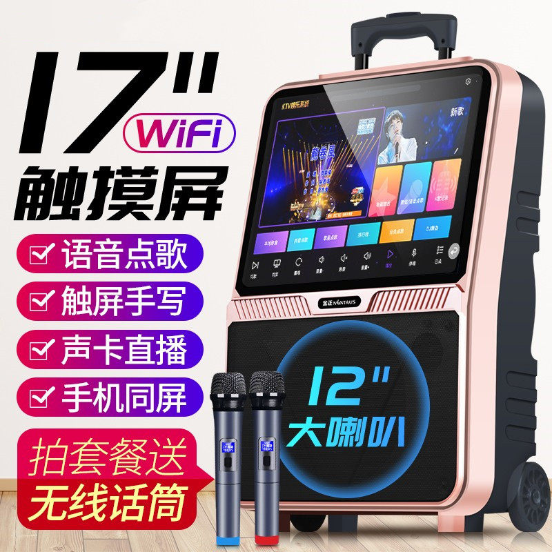 户外音响专业户外使用广场舞音响带显示屏演出跳舞一体机ktv音箱