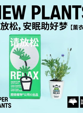 超级植物请放松雾松南洋杉放青松绿植养护桌面盆栽创意生日礼物