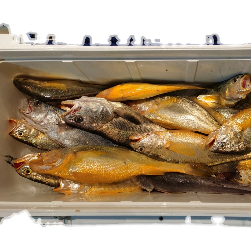 海钓飘钩飘虾黄三黄婆鸡米鱼鮸鱼鲈鱼大黄鱼串钩3钓位钓组线组,户外/登山/野营/旅行用品,鱼钩,淘宝优惠券,粉丝福利购,淘宝优惠卷