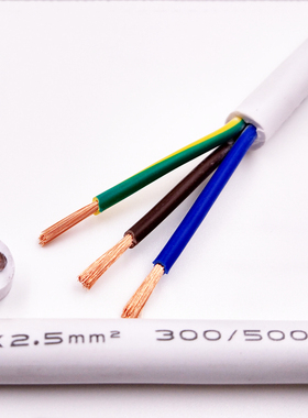 白色国标电源线RVV234芯0.5/0x.75/1.0/1.5/2.5平方挤压护套电缆