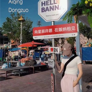 创意网红打卡导向牌指路牌定做小区指引牌路标牌景区指示牌定制