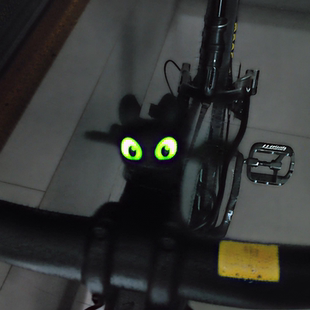 爆款环球驯龙高手无牙仔公仔玩偶挂件发光创意夜煞钥匙男女孩礼物