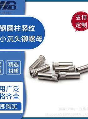 GB-T17880.4圆柱竖纹小沉头盲孔304不锈钢拉铆螺母拉帽M4M5M8M10