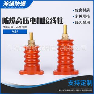 防爆高压电机接线柱m16一体绝缘座6KV 10kV三固定孔位接线柱