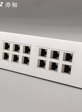 118大号12口屏蔽超六类直通十二口对插CATJ6A网络直通模块RJ45模