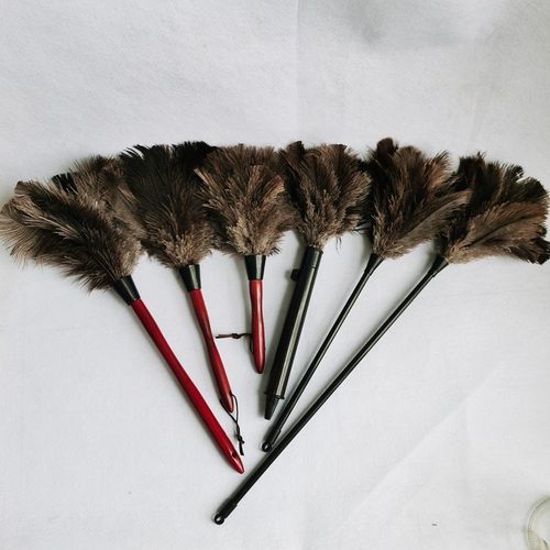 鸵鸟毛掸子羽毛清洁扫帚除尘掸 家用车用办公桌面电脑屏幕小扫把