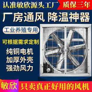 广东900型负压风机铜电机大棚排风扇养殖场排风机畜牧风扇