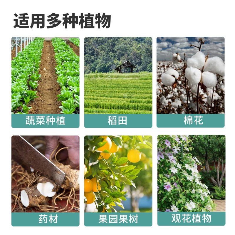 枯草芽孢菌f杆菌农用哈茨木霉菌微生物菌剂蔬菜果树菌剂菌肥