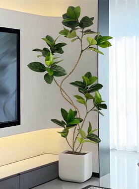 仿真绿植孟加拉榕室内客厅落地摆件装饰高级M仿生绿色植物盆栽假