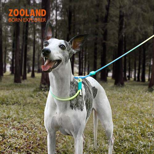 ZOOLAND狗狗牵引P绳小中大型犬遛狗防爆冲专业训练赛级用可调节款