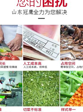 切菜机多功卜双头切丝段丁片胡萝能芹菜土辣椒韭菜葱豆食堂商用机