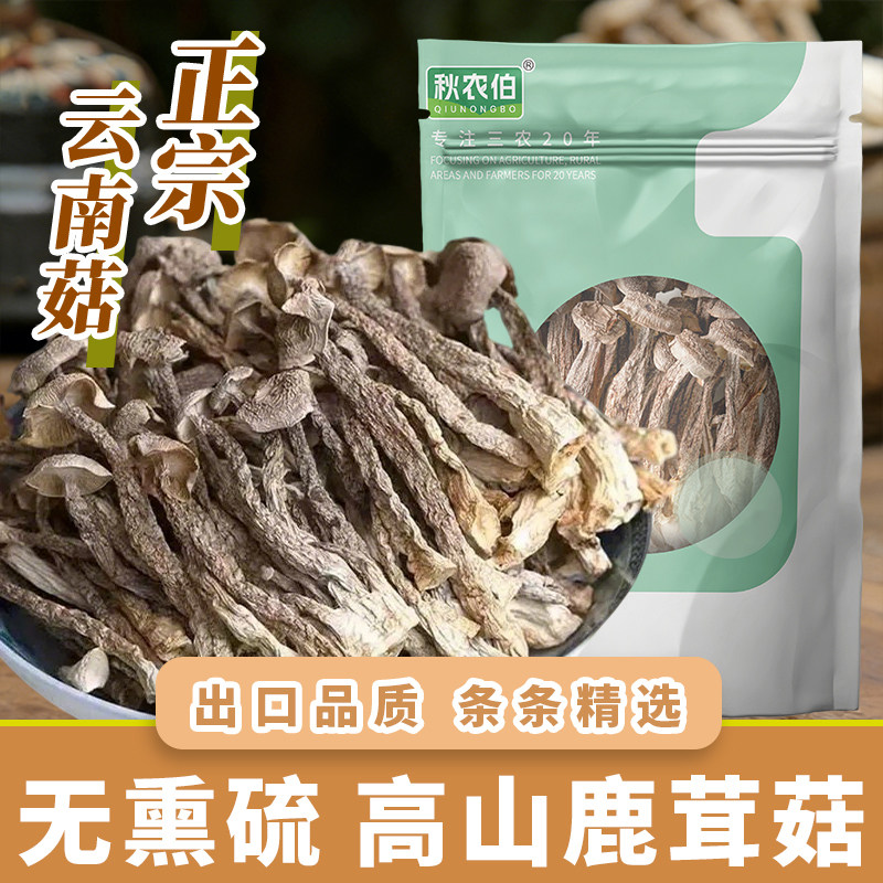 新鲜鹿茸菇干货500g鹿茸菌特级脆脆菇云南特产煲汤食材蘑菇干香姑