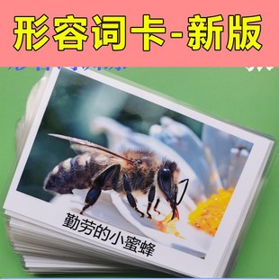 形容词卡片认知自闭症儿童训练玩具家庭干预看图说话ABA个训教具