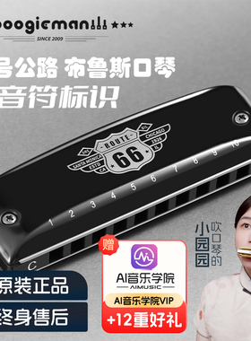 Boogieman布鲁斯口琴C调66号公路蓝调网十孔10paddy调音a园园同款