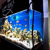 定制鱼缸灯围缸围定做图片颜色文字任选海缸遮光板有机玻璃亚克力