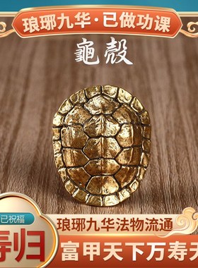 【九华功课祝福】铜龟壳富甲天下手E把件桌面茶宠中古男士高端摆