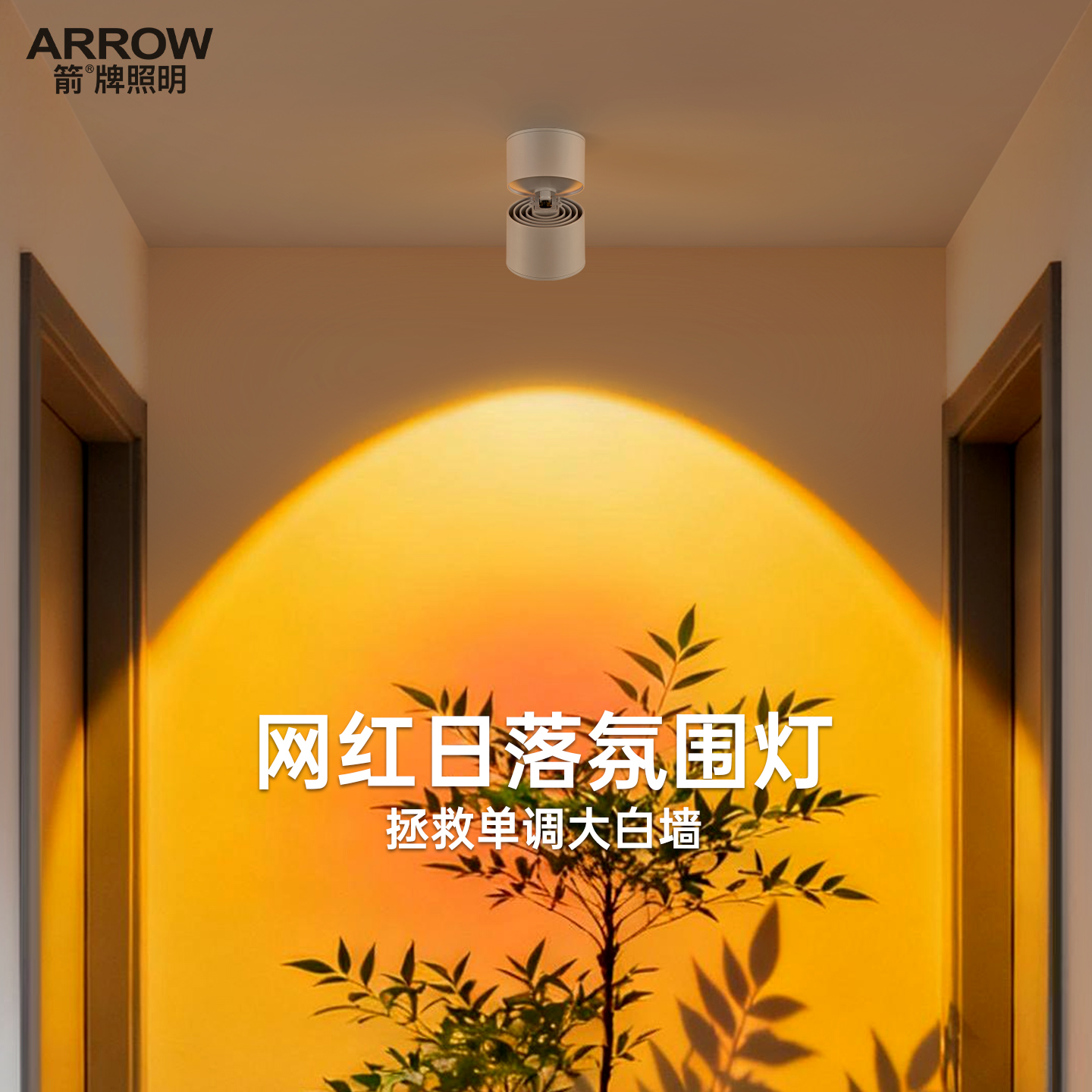 箭牌眼卫士日不落筒射灯