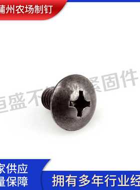 机钉 不锈钢高强度螺丝 扁圆头十字机牙螺钉台阶大扁头机钉发黑