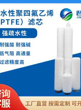 聚四氟乙烯PTFE滤芯疏水性微孔折叠滤芯空气除菌过滤耐高温耐腐蚀