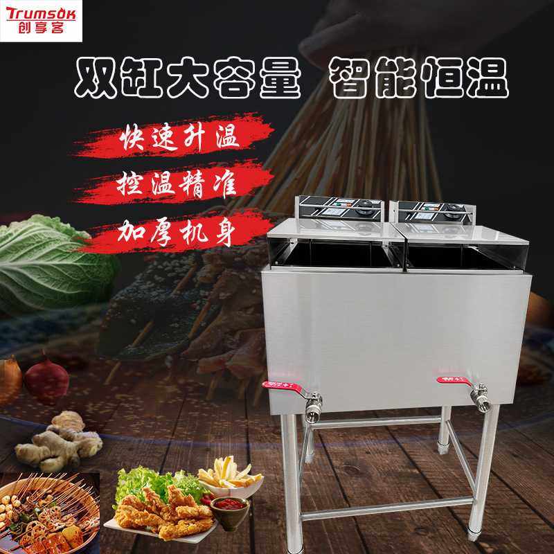 商用立式电热油炸锅单双缸双筛不锈钢立式电炸炉商用电炸炉油炸锅,鲜花速递/花卉仿真/绿植园艺,其它园艺用品,淘宝优惠券,粉丝福利购,淘宝优惠卷