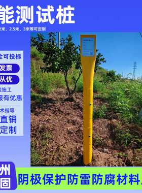 阴极保护智能型测试桩GPRS北斗定位带太阳能板和锂电池镁阳极厂家