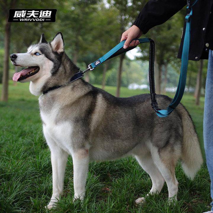 狗狗牵引绳户外出行多功能防爆冲牵引绳大型犬尼龙反光遛狗绳