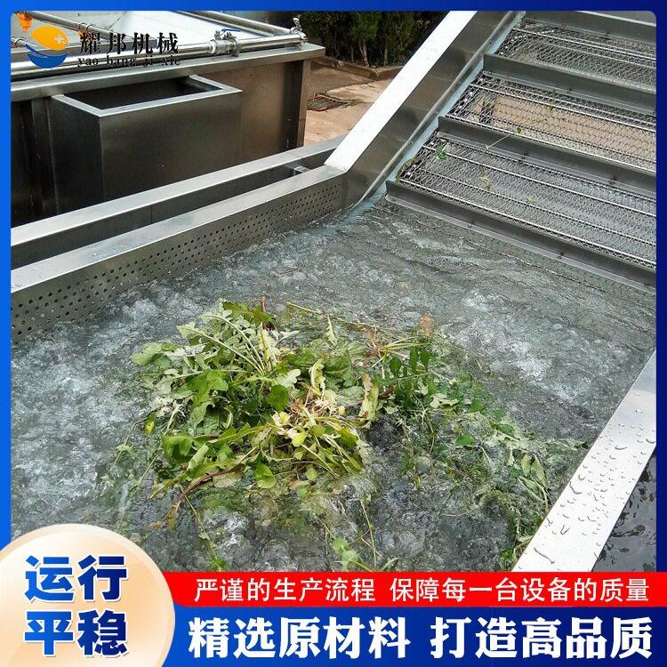 豆角气泡清洗机 水果蔬菜清洗设备 食堂茄子辣椒全自动洗菜机器