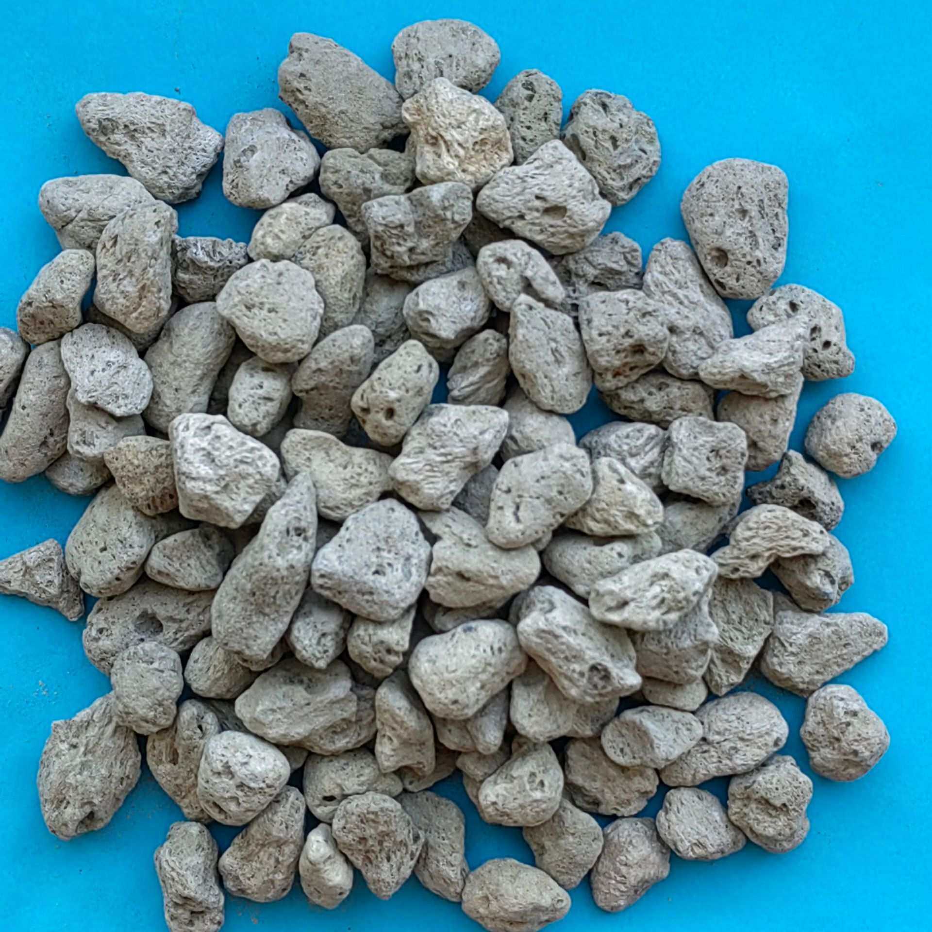 厂家供应轻石多肉兰花基质用轻石大块浮石微景观装饰轻石颗粒