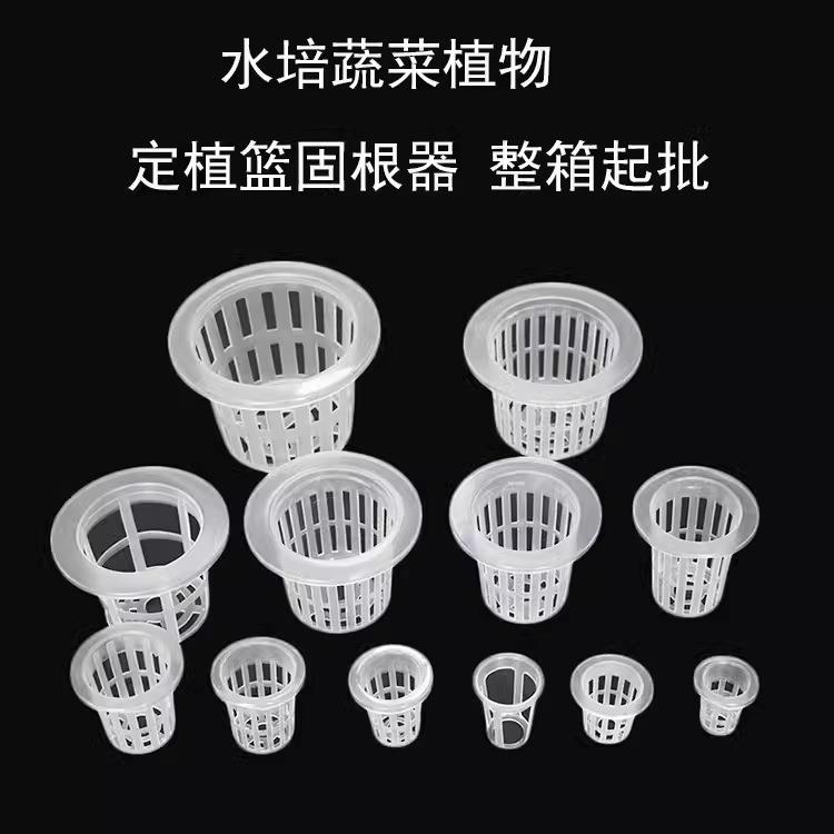 水培定植蓝种植杯无土栽培定植篮塑料杯水培固根器水培篮蔬菜