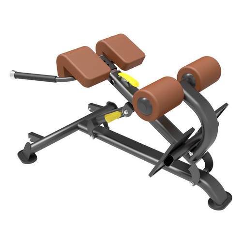 山羊挺身训练器健美器材健身房私教罗马椅训练腰部腹部背肌训练器