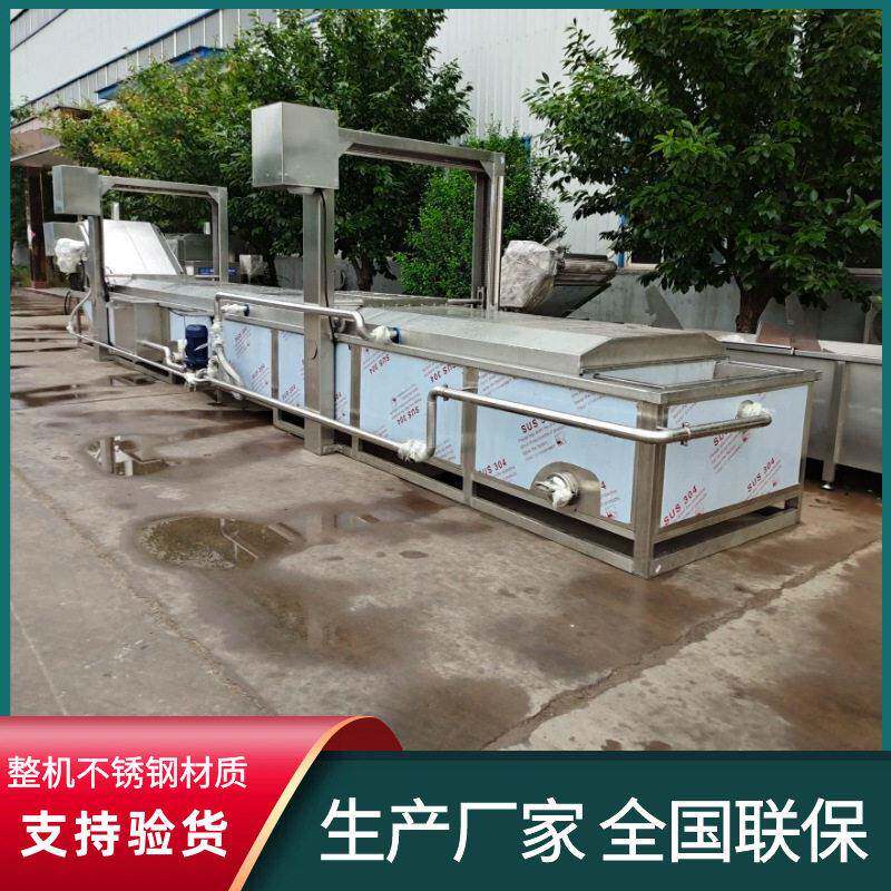 杏鲍菇加工焯水漂烫机全自动海鲜鲍鱼预煮机网带出料鱿鱼仔蒸煮