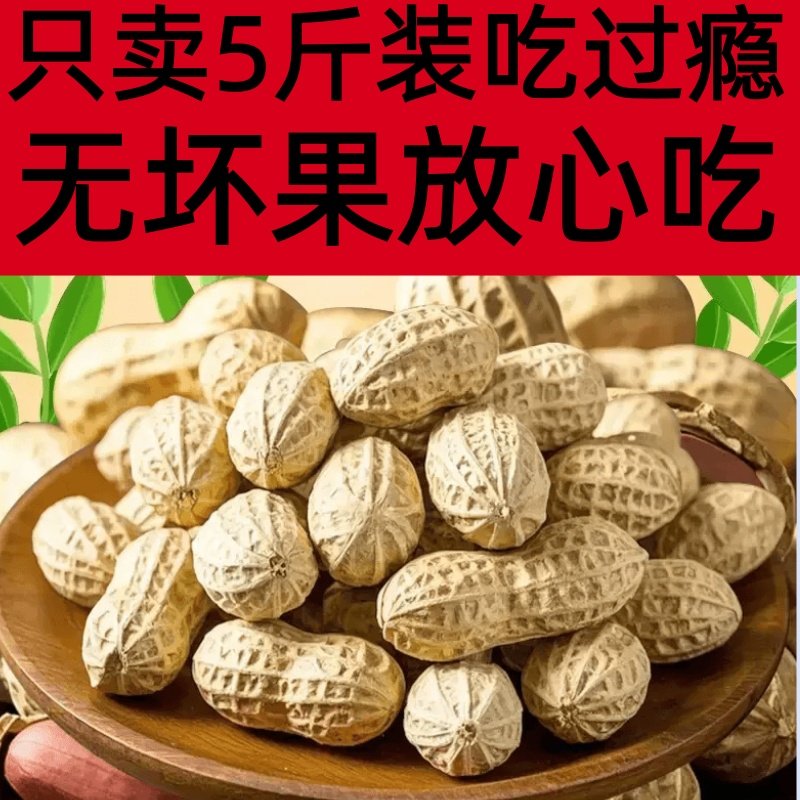 蒜香花生新货带壳多味蒜香原味炒熟咸干米炒货下酒菜零食小吃,零食/坚果/特产,花生,淘宝优惠券,粉丝福利购,淘宝优惠卷